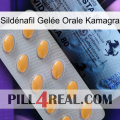 Sildénafil Gelée Orale Kamagra 44